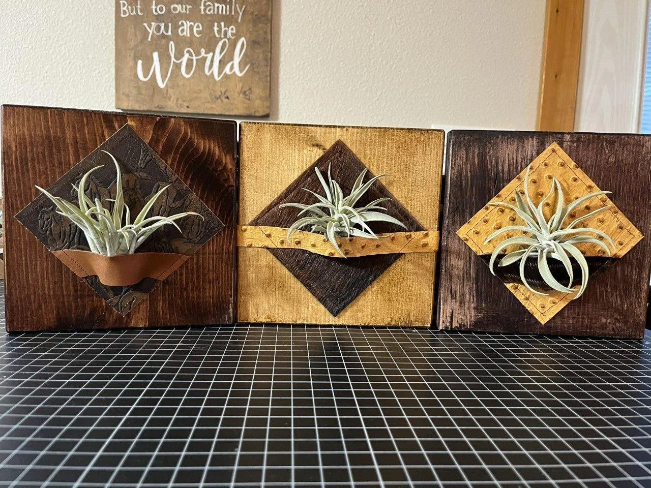 Air Plant Desk Plaque w/ Embossed Ostrich Leather