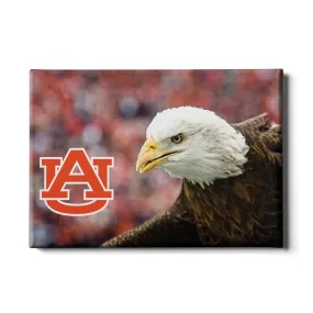 Auburn Tigers - War Eagle Up Close