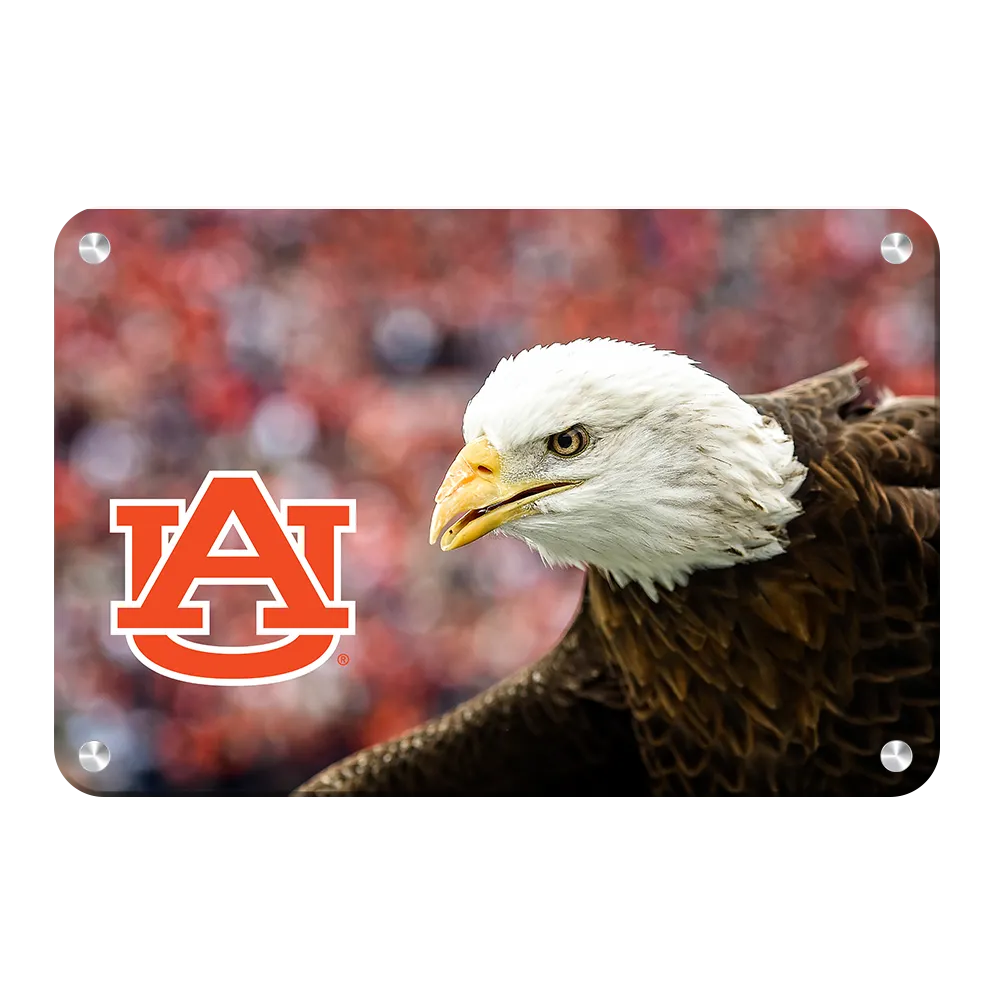 Auburn Tigers - War Eagle Up Close