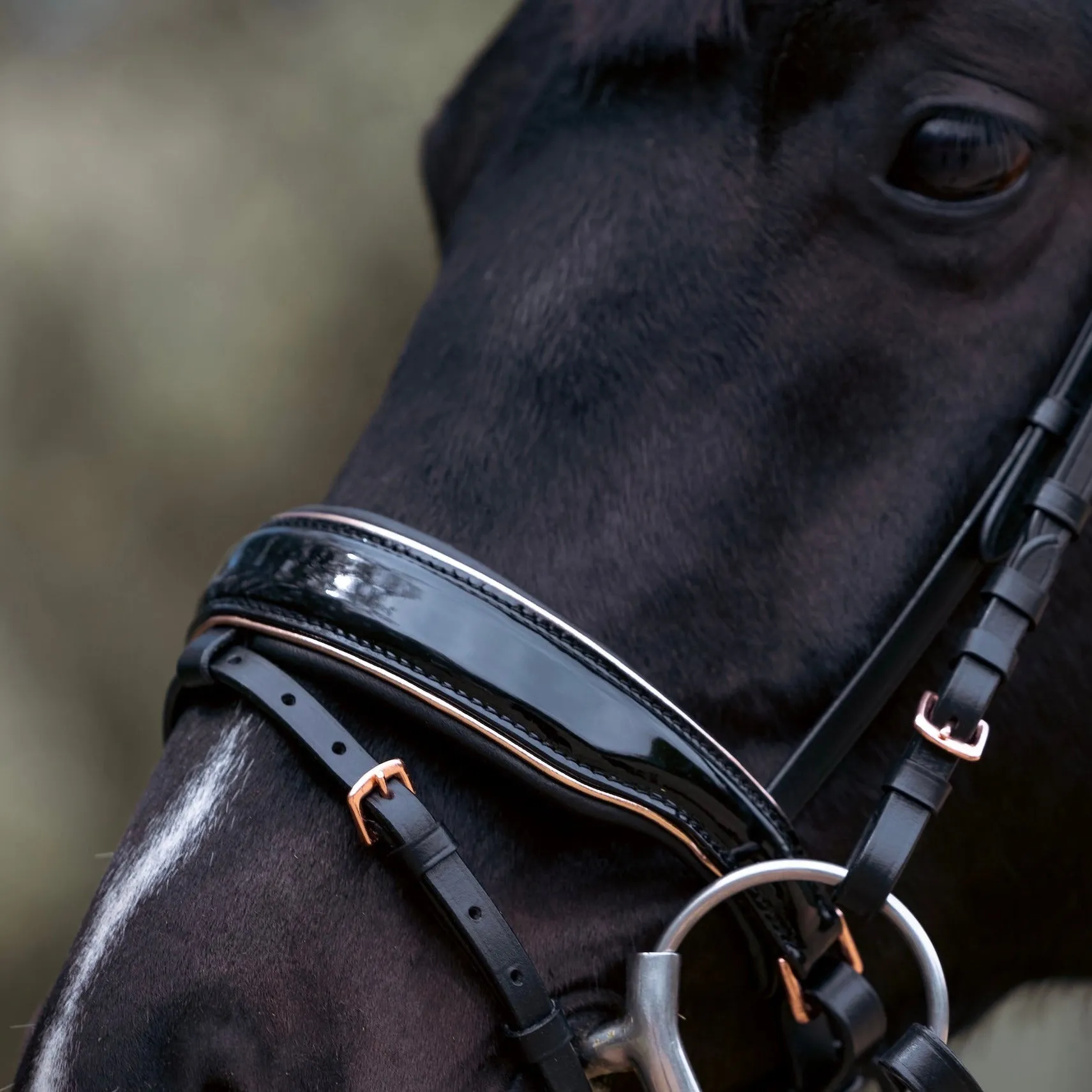 Aurelia Rose Gold Black Patent Snaffle Bridle with Removable Flash