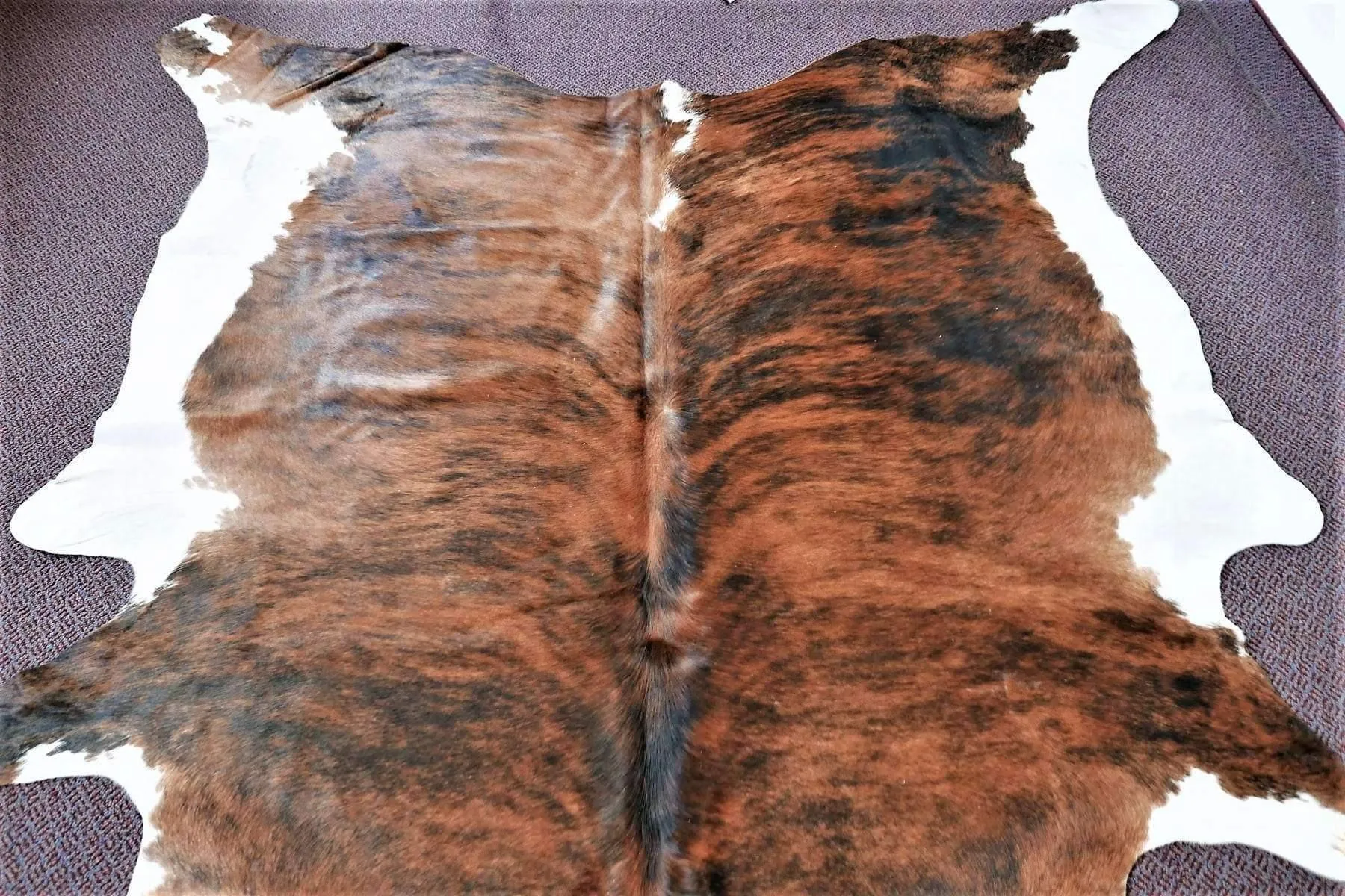 Brazilian Brindle White Belly Cowhide