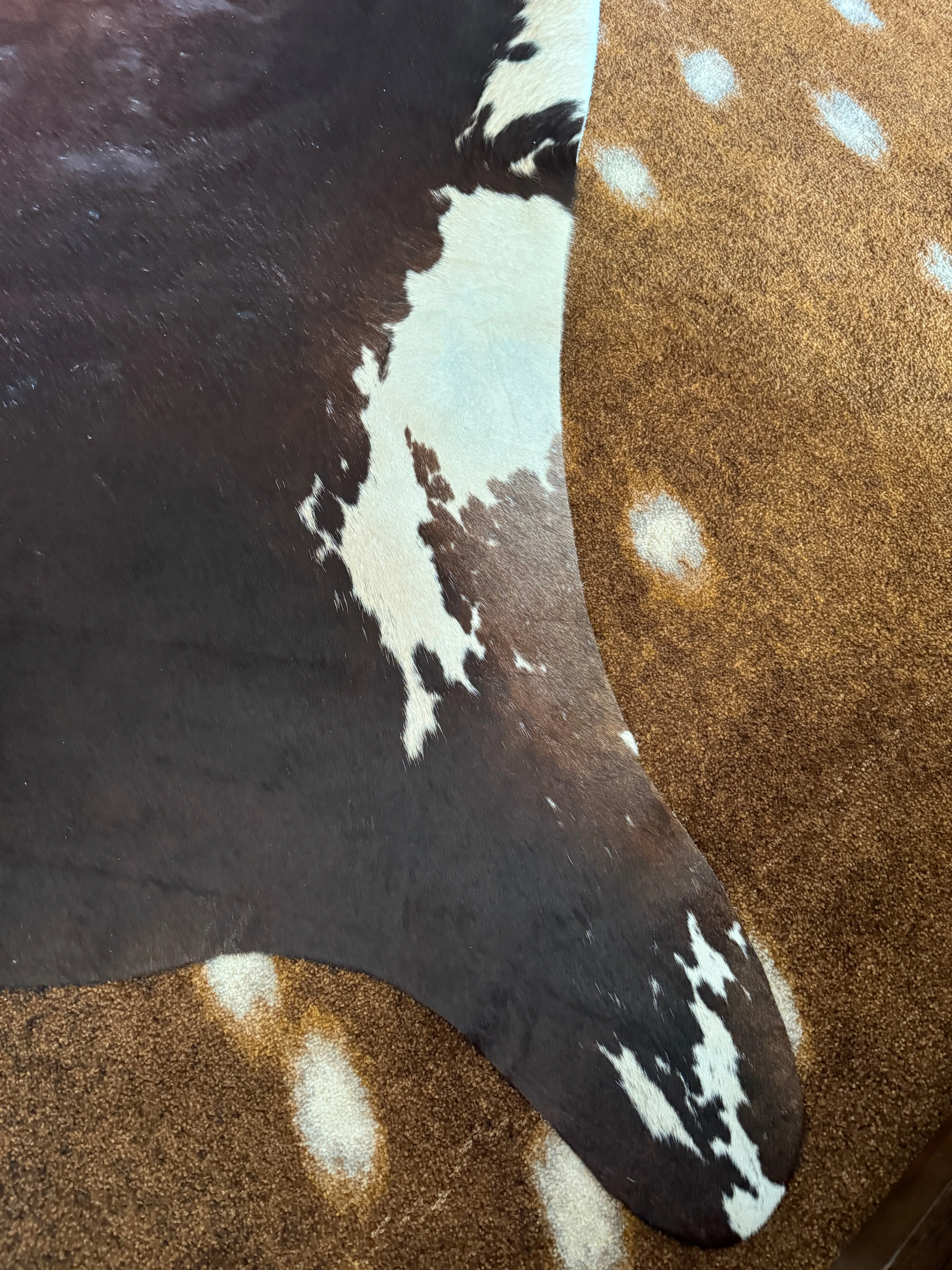 Brown w/ Copper & Peppered Spine Cowhide