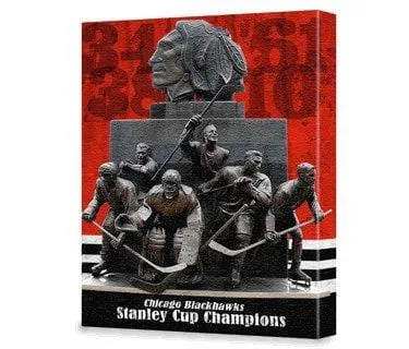 Chicago Blackhawks Stanley Cup Champs