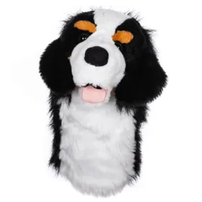 Daphne's Bernese Mountain Dog Club Head Cover