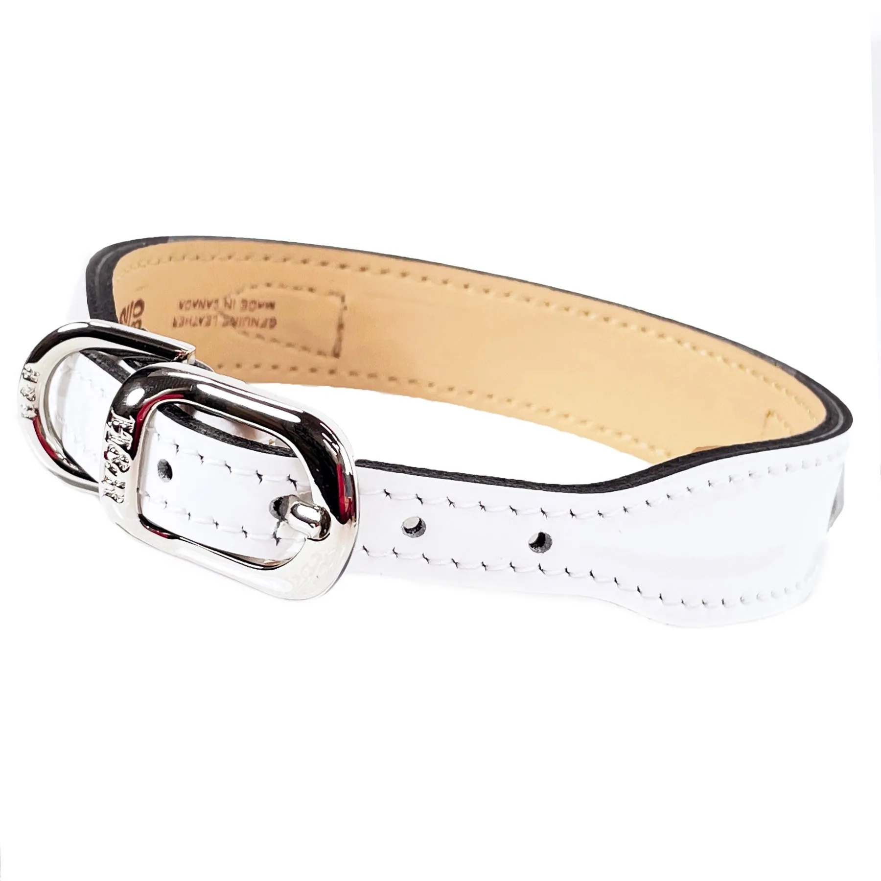 Dynasty Dog Collar in White Patent & Nickel