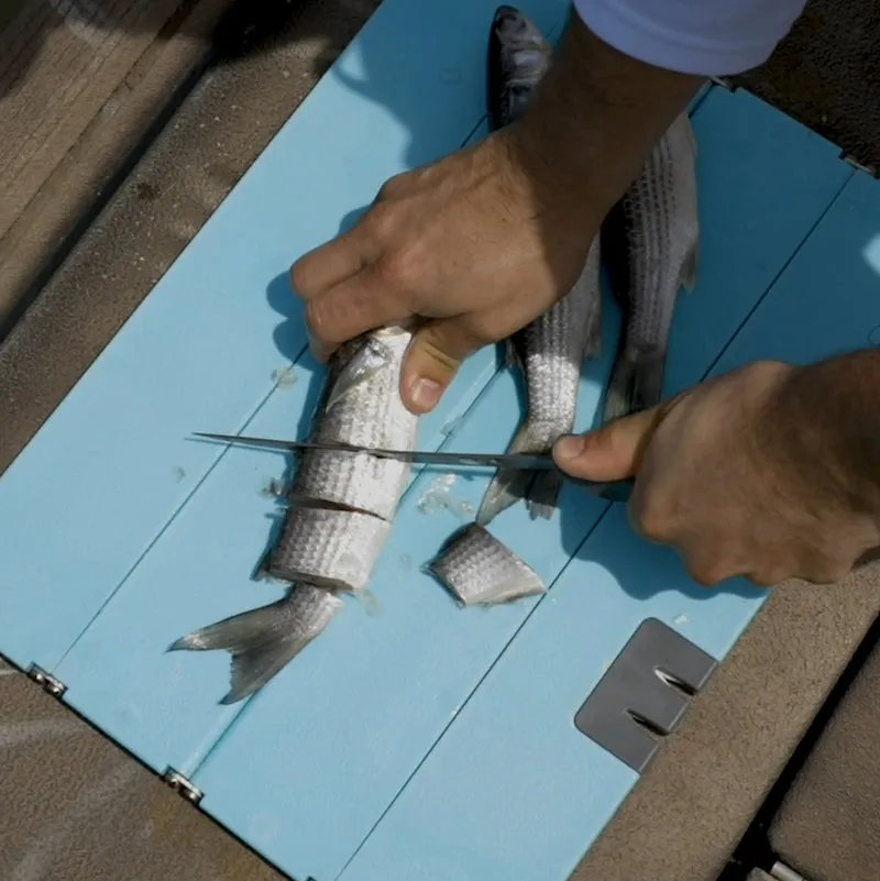 Folding Cutting Boards | L/XL