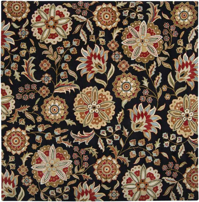 Granum Transitional Area Rug Carpet for Living Room Bedroom or Kitchen