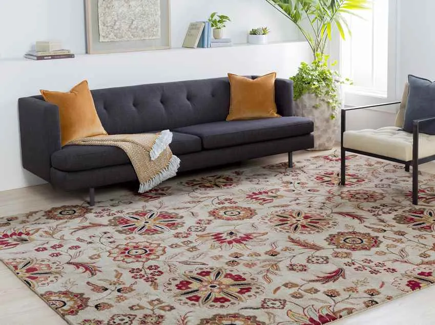 Granum Transitional Area Rug Carpet for Living Room Bedroom or Kitchen