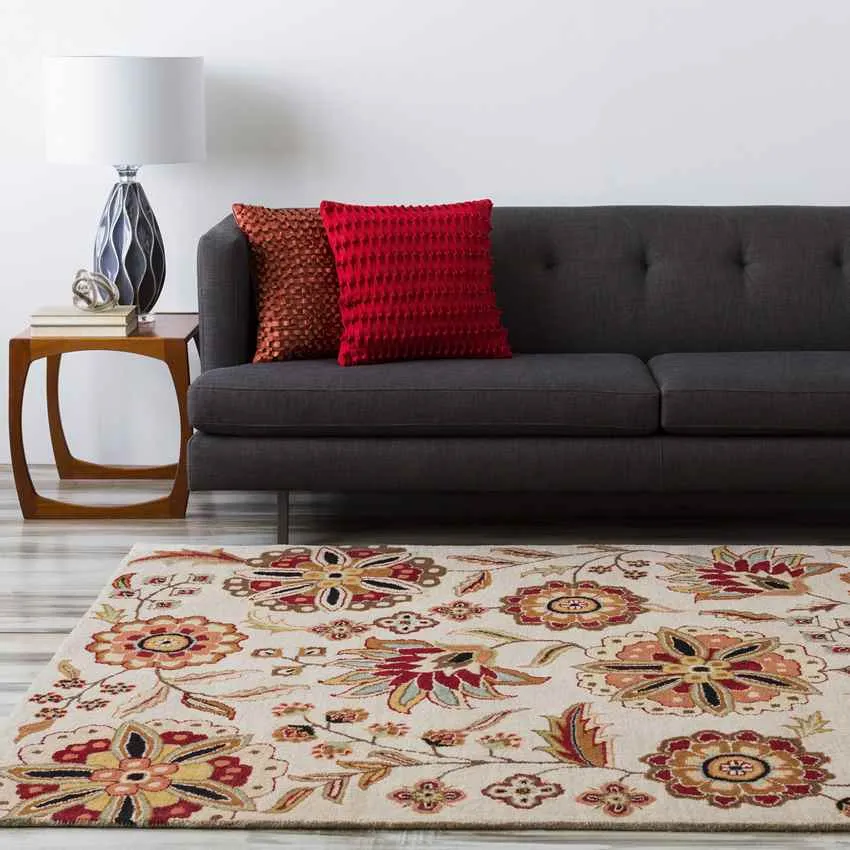 Granum Transitional Area Rug Carpet for Living Room Bedroom or Kitchen