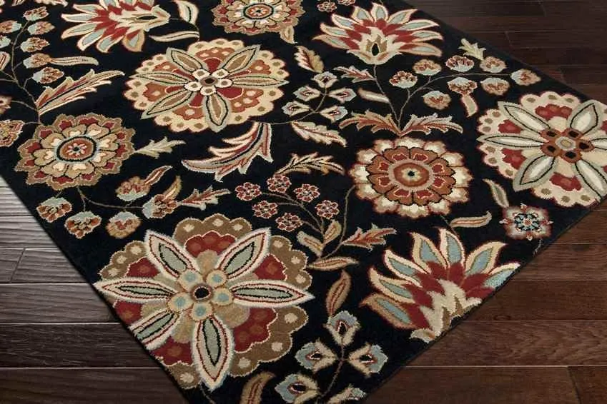 Granum Transitional Area Rug Carpet for Living Room Bedroom or Kitchen