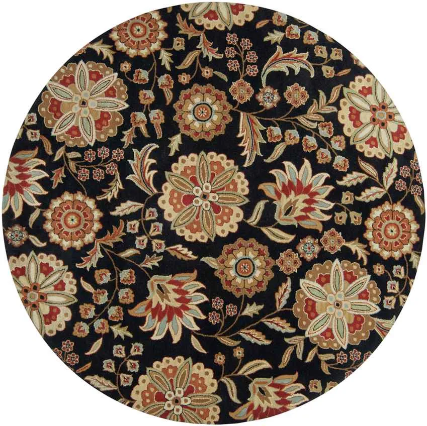 Granum Transitional Area Rug Carpet for Living Room Bedroom or Kitchen