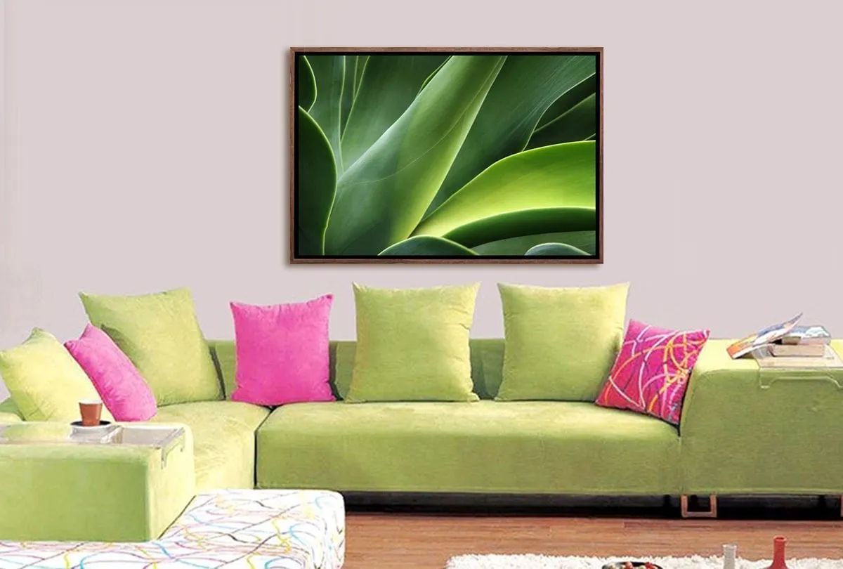 Green Agava | Canvas Art Print