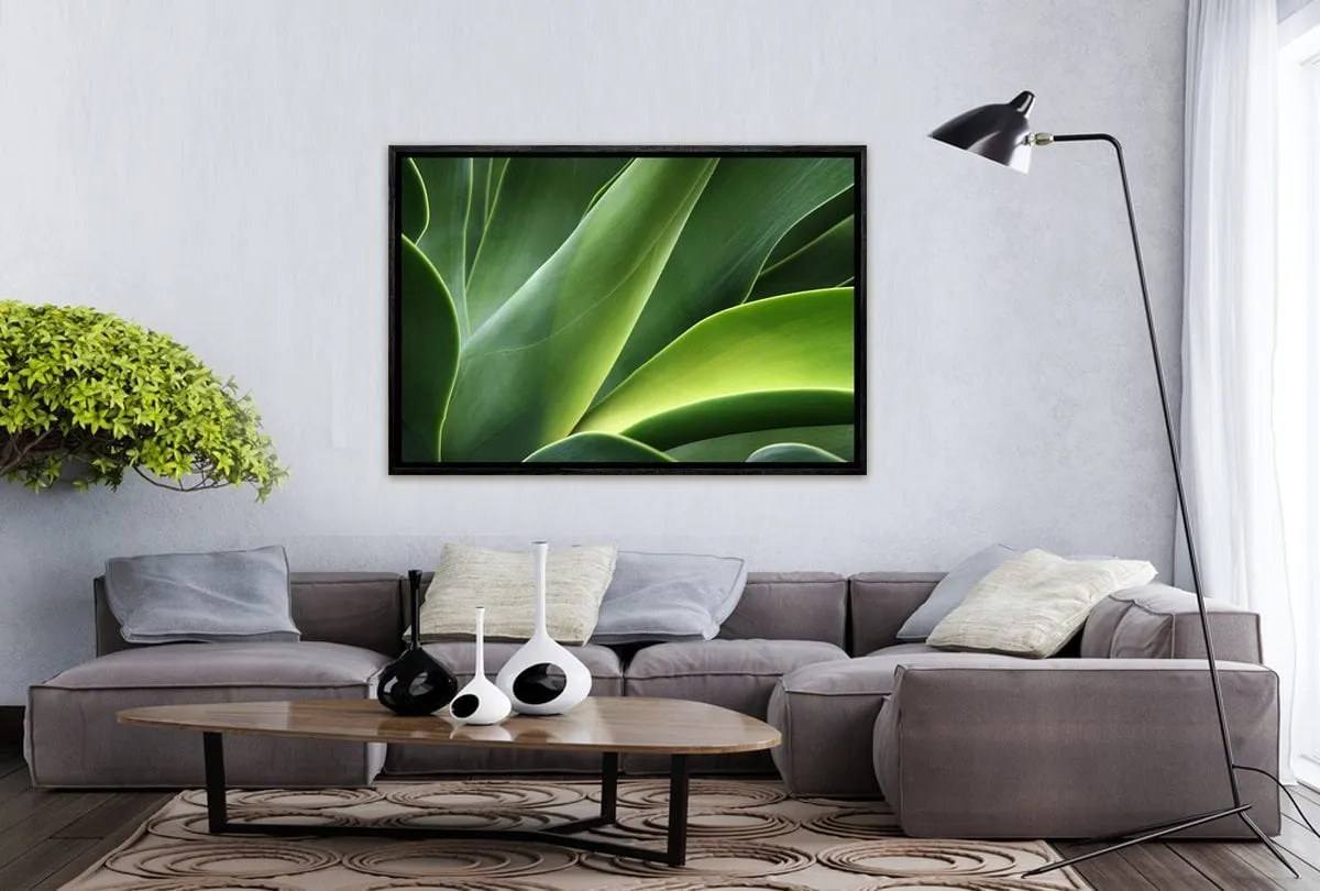 Green Agava | Canvas Art Print