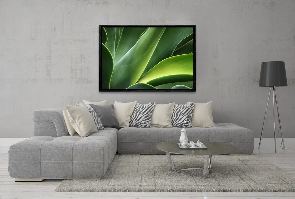 Green Agava | Canvas Art Print