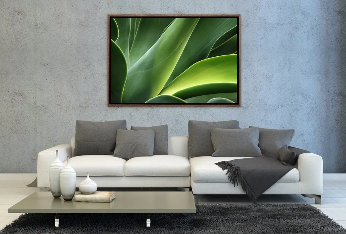 Green Agava | Canvas Art Print