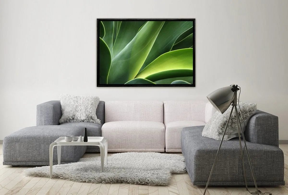 Green Agava | Canvas Art Print