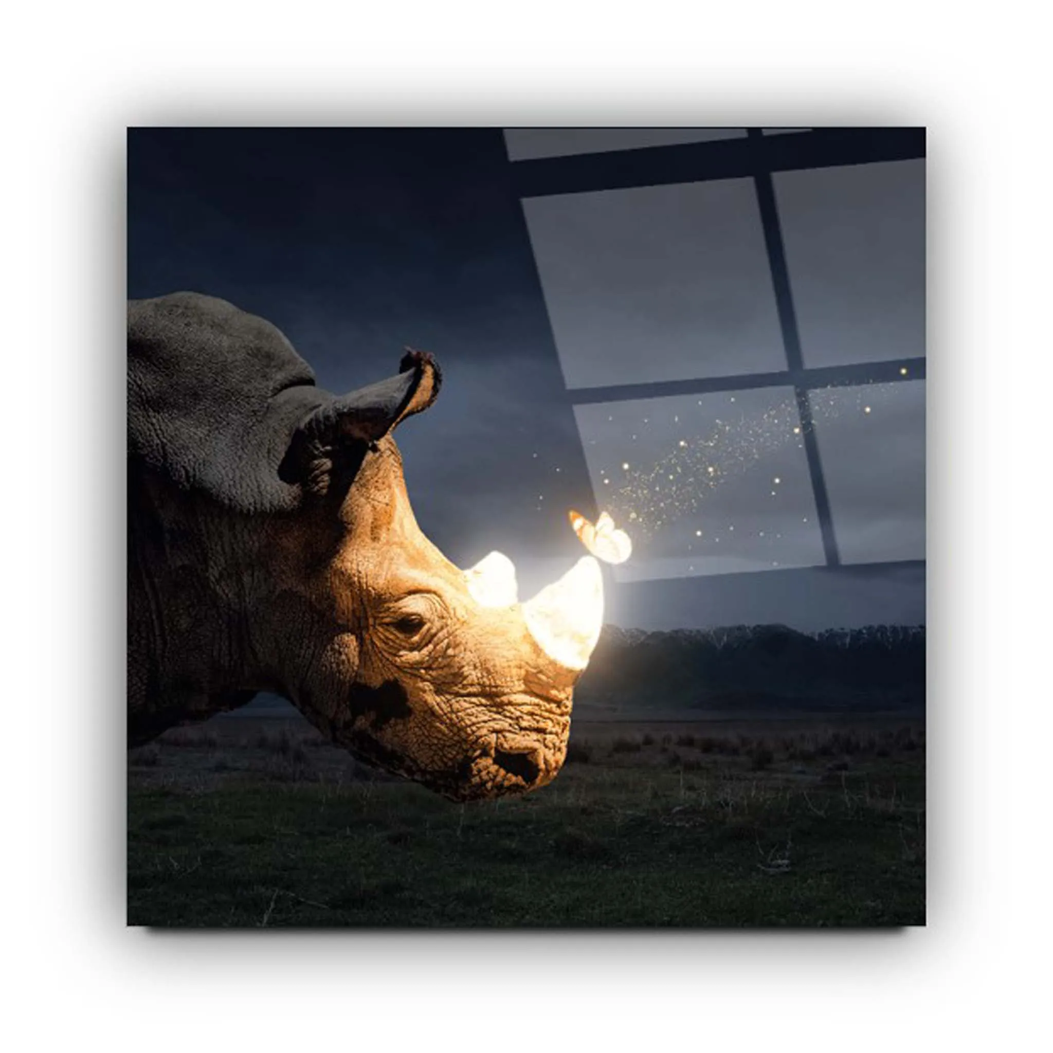 Rhino Glass Wall Art