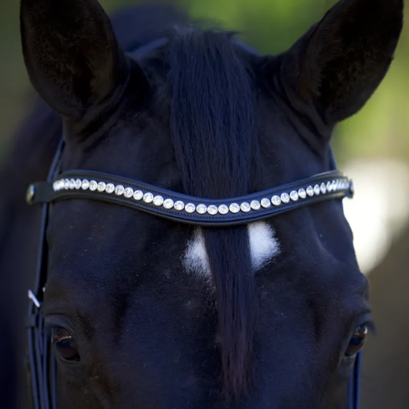 Wave Snap Browband with Clear Rivet Crystals